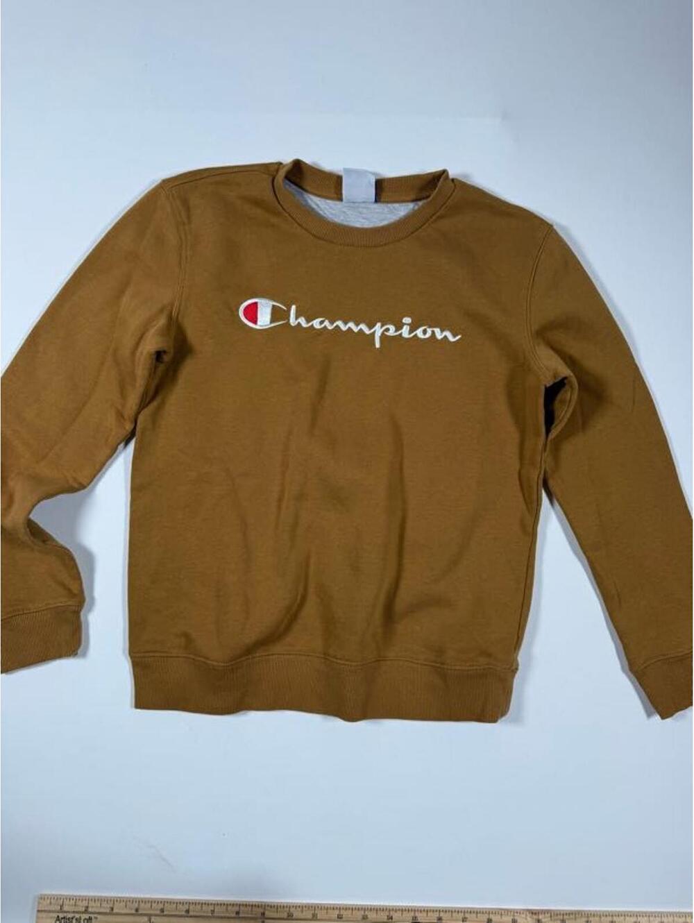 Champion Brown Crewneck Sweatshirt Size L (14/16)